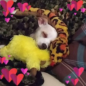 Meet your Posher, Becki